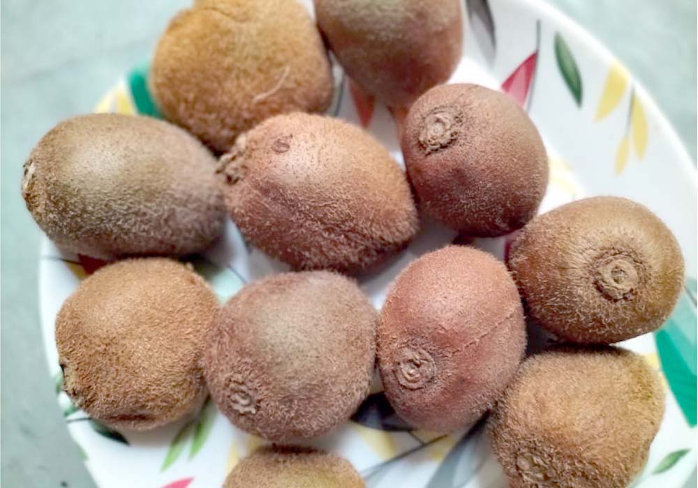 Kiwi fruit in pregnancy urdu article
