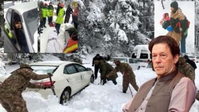 Murree incident 2022