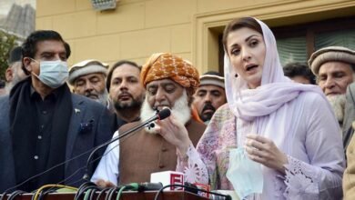 Maryam Nawaz comment on the current political situation