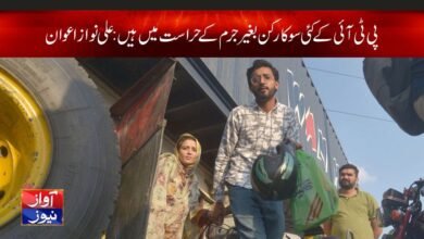 PTI workers News in Urdu