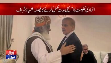 Shahbaz Sharif News in Urdu