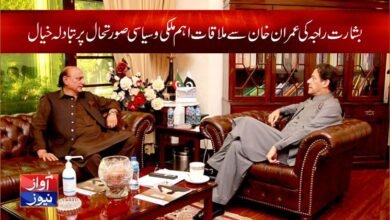 Basharat Raja meets Imran Khan to discuss situation News
