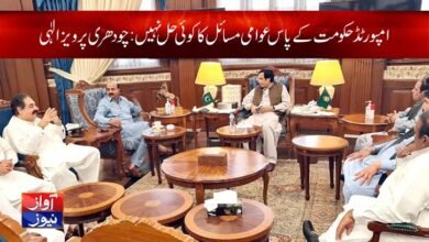 Chaudhry Parvez Elahi News in urdu