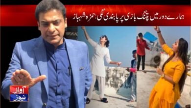 Kite flying news in urdu