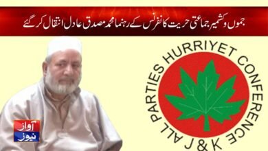 Kashmir News in Urdu