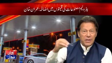 Rise in prices of petroleum products latest breaking in urdu