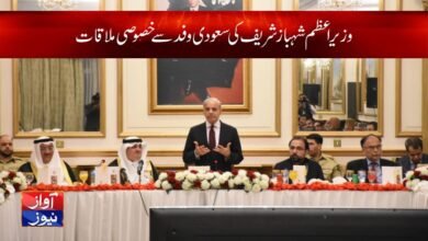 Shahbaz Sharif with Saudi delegation