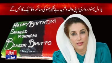 Shaheed Benazir Bhutto 69th birthday PPP News in Urdu