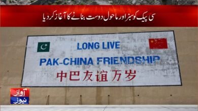 cpec latest news in urdu