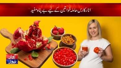 food for early pregnancy