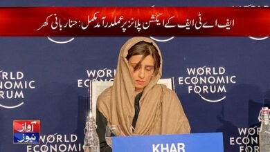 hina rabbani khar