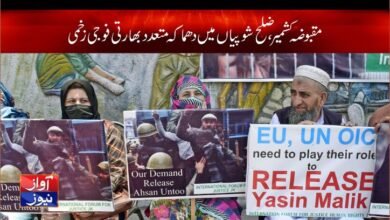 kashmir news in urdu