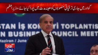 shahbaz sharif News in urdu