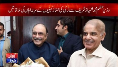 shahbaz sharif news in urdu
