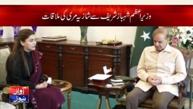 shazia murree with shahbaz sharif