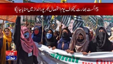 5 August Kashmir Exploitation Day