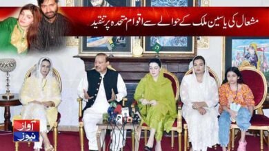 Mishal Malik News in Urdu