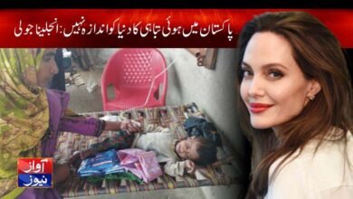 Flood in Pakistan 2022