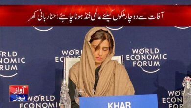 Hina Rabbani Khar Latest News in Urdu