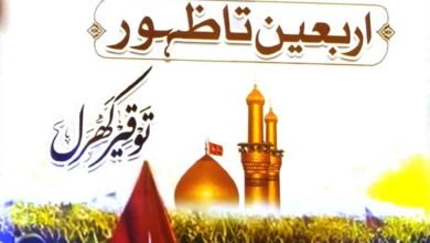Najaf Se Karbala