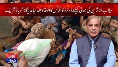Shahbaz Sharif Flood Relief
