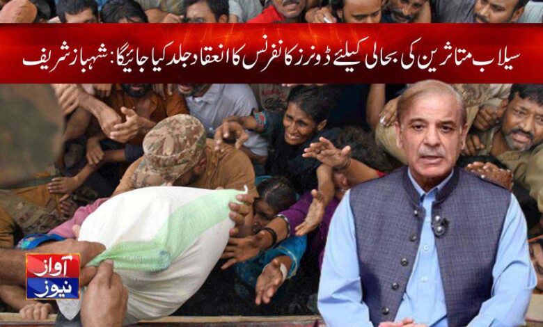 Shahbaz Sharif Flood Relief