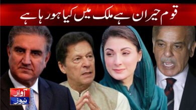 Shah Mehmood Qureshi Latest News in Urdu