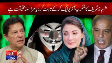 Leaked Audio Proved the Post is Real Imran Khan