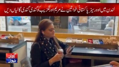 maryam aurangzeb abusing news in urdu