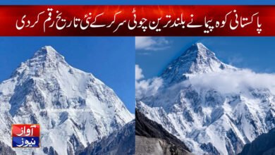 A Pakistani mountaineer created a new Record