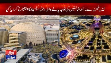 Dubai Expo News in Urdu