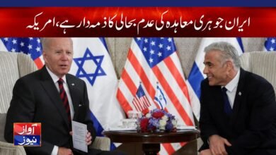 usa news in urdu