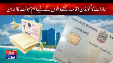 UAE Embassy News in Urdu