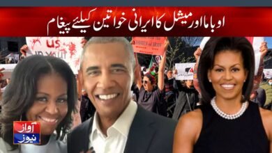 usa urdu news