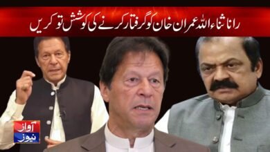 Rana Sanaullah try to arrest Imran Khan