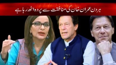 Sherry Rehman Latest News in Urdu