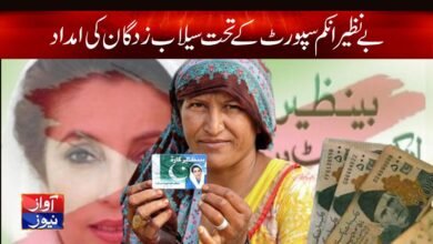 Benazir Income Support Programme Latest Updates in Urdu