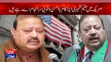 Barrister Sultan Mahmood Chaudhry Latest News in Urdu