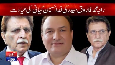 Raja M Farooq Haider News in Urdu