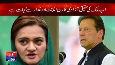 Maryam Aurangzeb Latest News in Urdu
