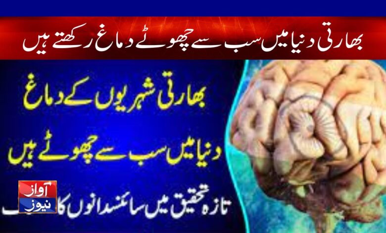 Indians Have Smallest Brains in World