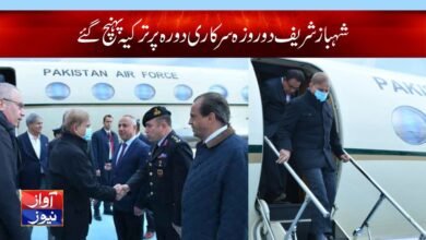 Shahbaz Sharif Arrived In Istanbul