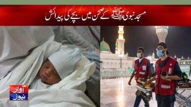 New Baby Born in Masjid e Nabvi News