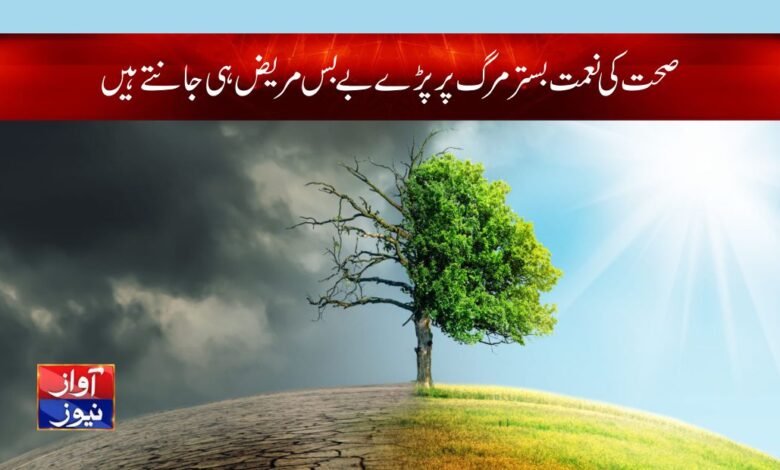 Qazi M Shoaib Columns