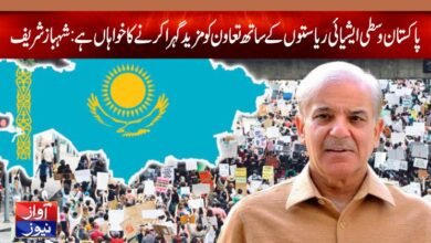 Shahbaz Sharif News in Urdu