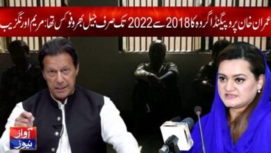 Maryam Aurangzeb Latest News in Urdu