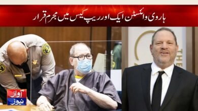 Harvey Weinstein Rape Case