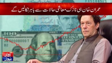 Jamshed Iqbal Cheema News