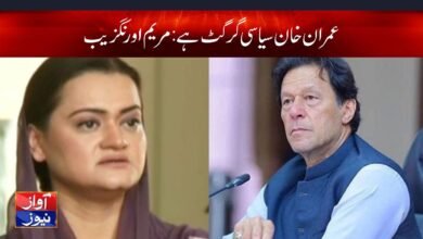 Maryam Aurangzeb News in Urdu