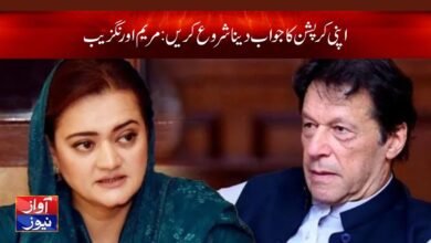 Maryam Aurangzeb News